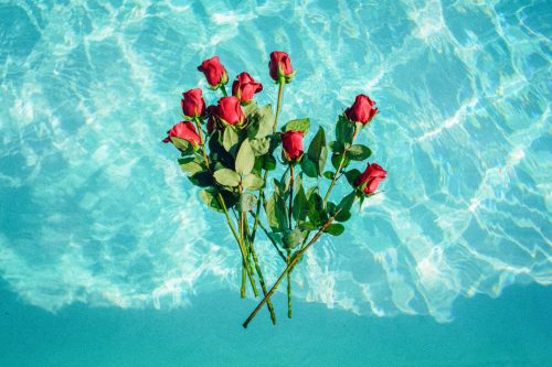 Kleines ABC der Schwimmbadtechnik – Wasserpflege und Filtersysteme Kleines ABC der Schwimmbadtechnik - Wasserpflege und Filtersysteme.